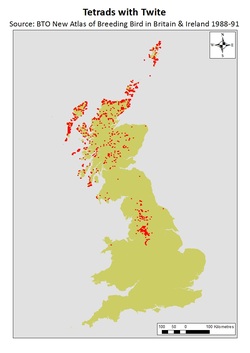 Map of Predicted Presence of Twite in GB